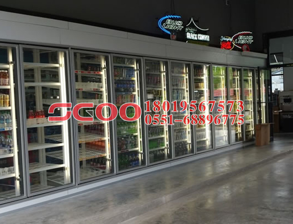 Tea fresh display cooler features and frozen storage display cooler price