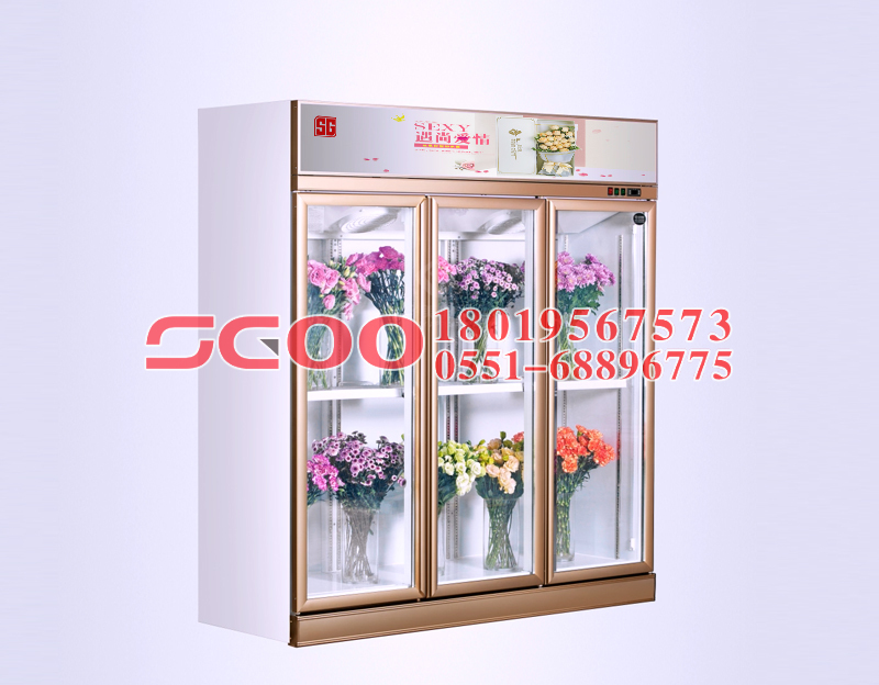 Refrigeration equipment medical display cooler diversified layout of supermarket display cooler 